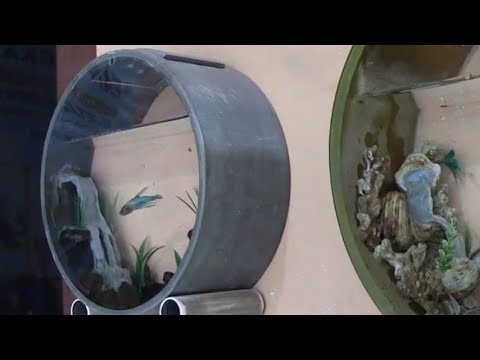 Bisnis Akuarium Unik dari Pipa Paralon Bekas YouTube