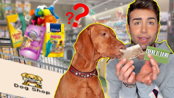 COMPRO TUTTO QUELLO CHE IL MIO CANE TOCCA | GIANMARCO ZAGATO