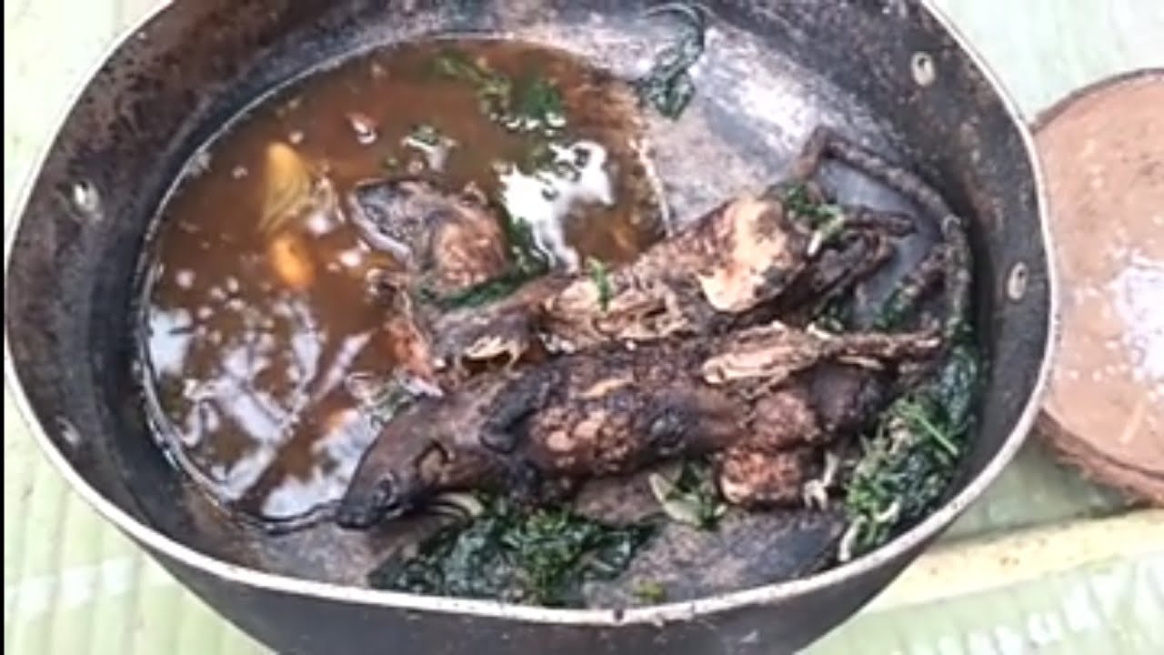 Catch and cook mountain rat how to cook mountain rat / Primitive ...
