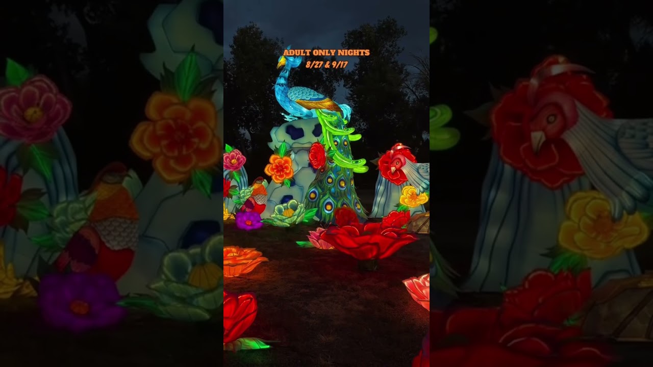 Bright Nights at Four Mile Lantern Festival | Denver, Colorado