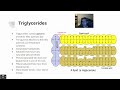 General biology lipids