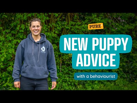 Dog behaviourist’s top