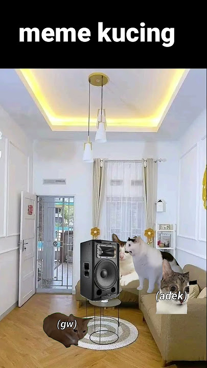 gangguin adek lagi galau sama temennya🤣#meme #memes #memekucing#kucing#viral#ngakak#lucu
