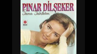 Pınar Dilşeker - Şinanari Resimi