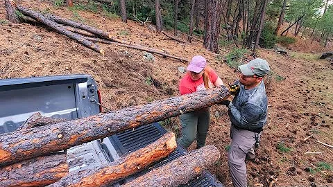Harvesting Timber For Firewood & Our Garden | Off Grid Living