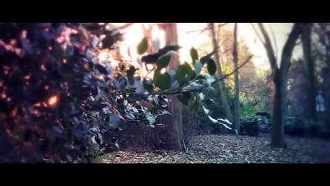 TECH2004 - Motion Graphics Assignment | Cassandra Haywood