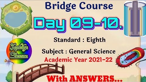 Bridge Course Class 8th Science Activity 9 and 10 Answers || Setu Abhyas