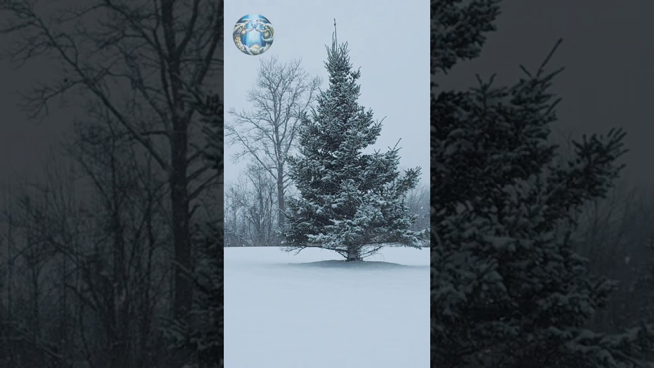 This Message is for You - angelic channeled singing 🎼🎵🎶 👼🎶🎵🪷