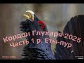 Кордон Глухаря 2025 г река Етыпур. Часть -1. #етыпур