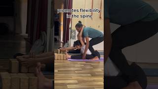paschimottanasana forward bending yoga