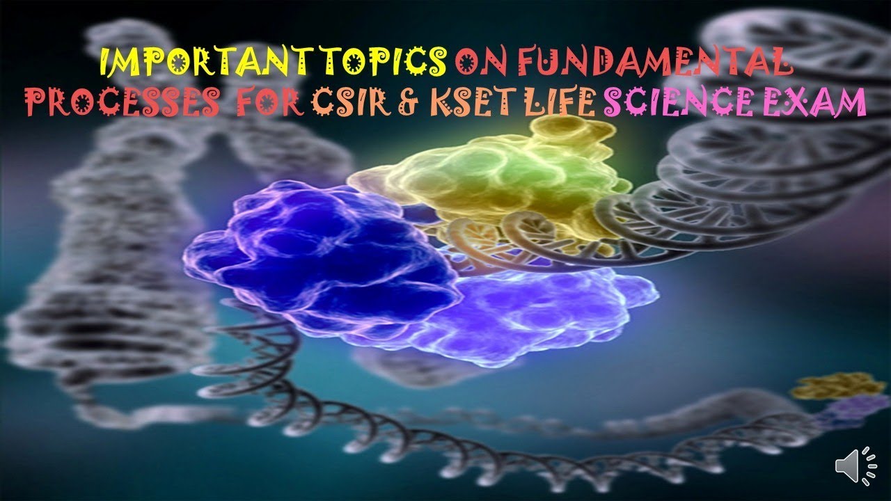 Kset Life Science Pattern IMPORTANT TOPICS ON FUNDAMENTAL PROCESSES FOR CSIR AND KSET LIFE ...