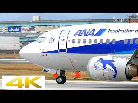 ANA JA301K 1/200 ボーイング737-500 スーパードルフィン 唯一残るANAの元「スーパードルフィン」 737-500整備訓練機