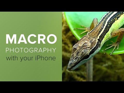 Como disparar Close-Up e Macro Fotografia com o seu iPhone