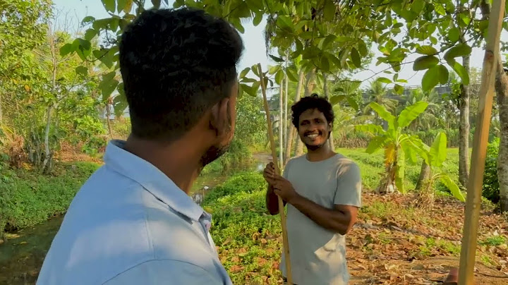 ആരംഭത്തിലേ അവസാനം - Malayalam Web Series  -  SIBI VARGHESE - LAL C T - DIGIFRAMEZ