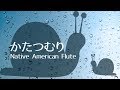 Snails(Katatsumuri) Native American Flute - Japanese Folk Song