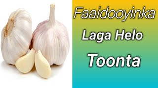 Faaidooyinka Laga helo Toonta| 8 Faaido oo ku jirta Toonta|waxtarka Caafimaad ee Toonta|