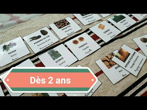 41 Langage Le Vocabulaire De L Automne Avec Les Cartes De Nomenclature Youtube 41 Langage Le Vocabulaire De L Automne Avec Les Cartes De Nomenclature Youtube
