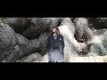 岡崎市 額田地区 PV「蛍案内図」Song by H△G