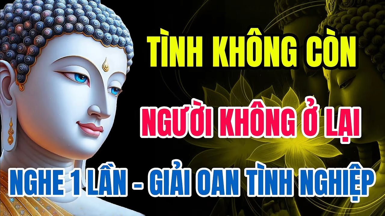Tình Không Còn – Người Không Ở Lại – Nghe Một Lần – Nghiệp Tình Tự Hóa Giải