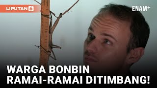 Timbang Badan Aneka Satwa Penghuni London Zoo | Liputan6 screenshot 1