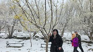 2025 3월 하얀 에스페란토 마을