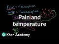 Pain and temperature | Integumentary system physiology | NCLEX-RN | Khan Academy