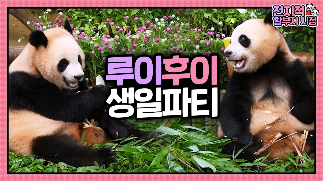 [ТОЧКА ЗРЕНИЯ ВСЕВЕДУЩЕГО ДЕДУШКИ] эп.225 