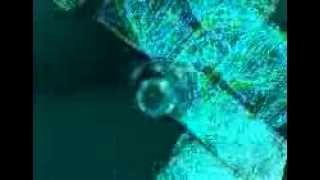Psylo Space trip 4