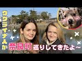 【奈良Vlog①】歴史を感じる奈良町巡り | おすすめランチ | Trip to Nara, Japan