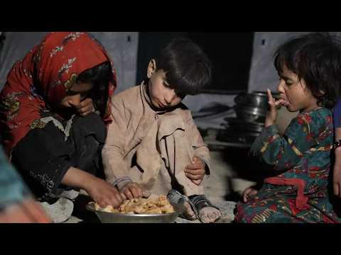 روز جهانی ایمنی غذا در سرزمین گرسنگان • ار.اف.ای