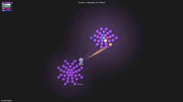 yourbasic/graph - Gource visualisation