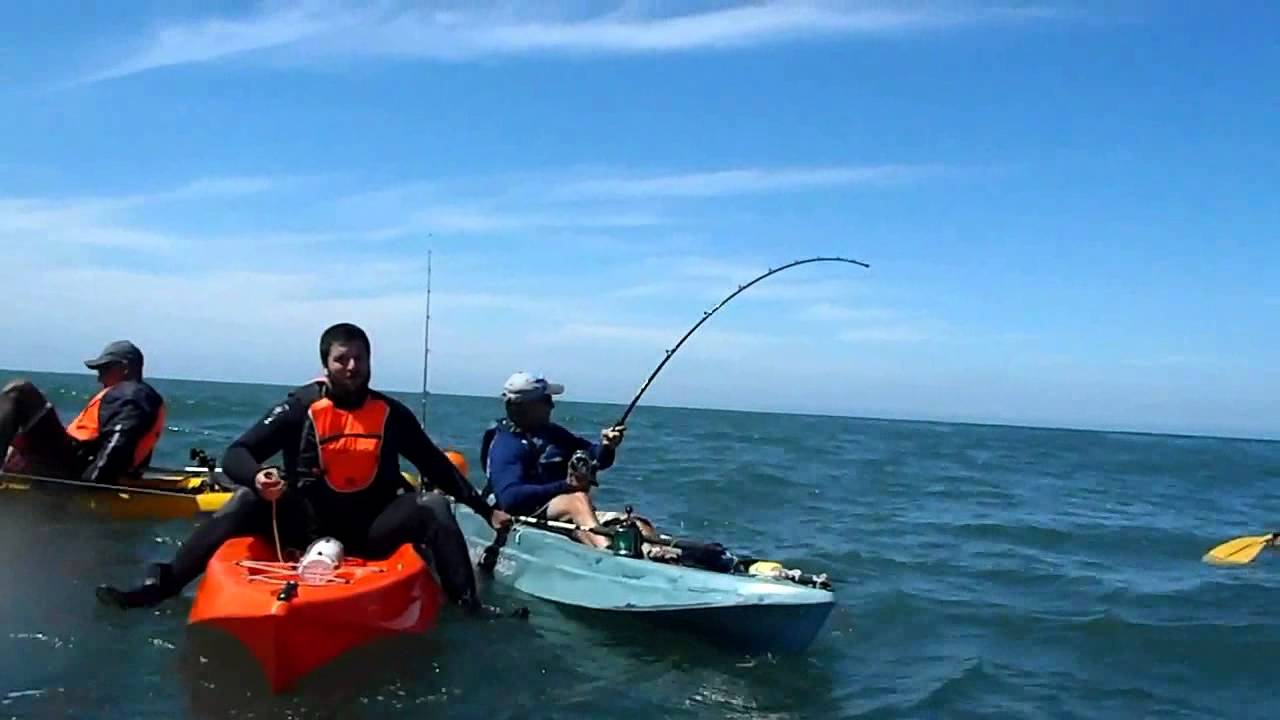 Pescar en Mar del Plata