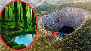 Ancient Forest Discovered In A Giant Sinkhole In China!