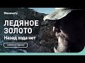 Назад хода нет | Ледяное золото | Discovery