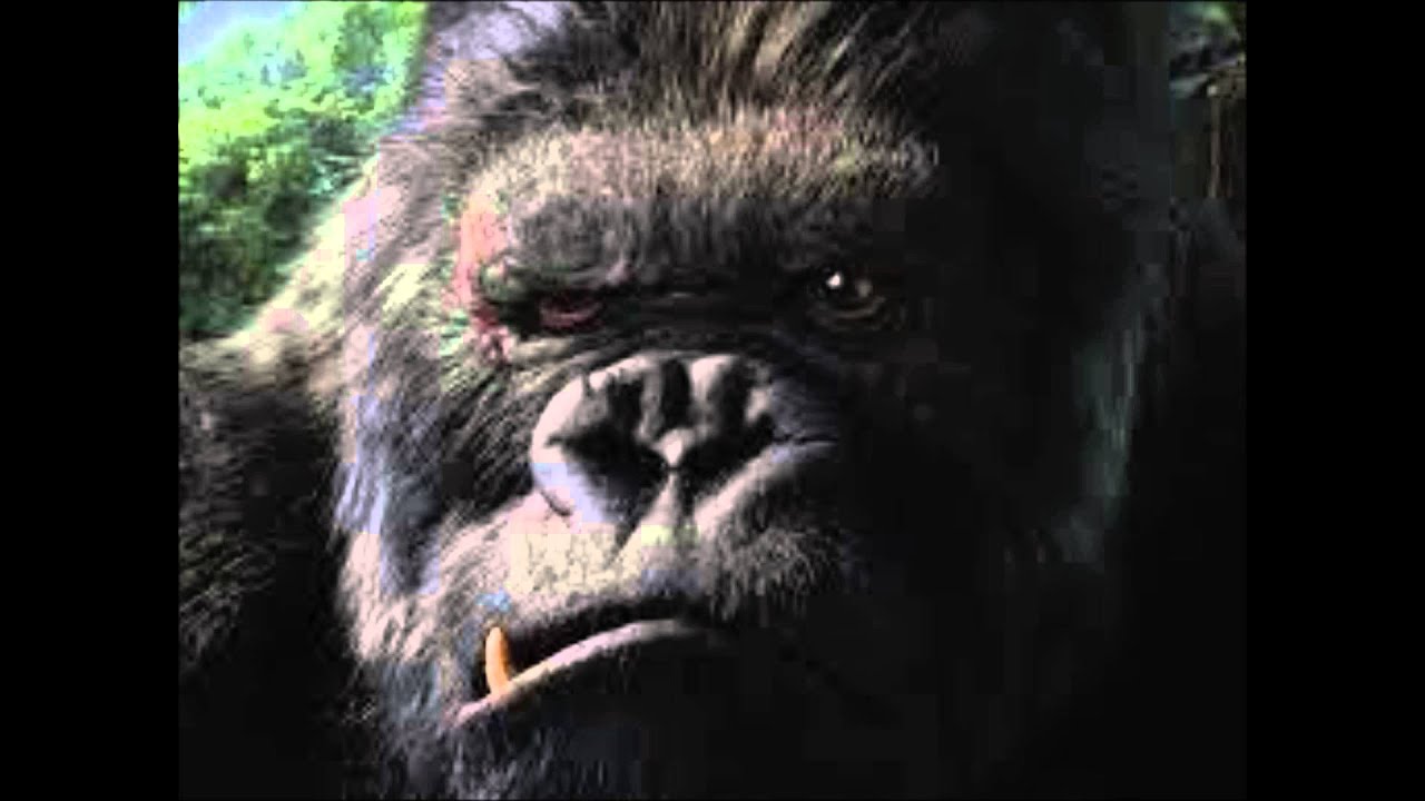 Free Kim Dotcom (AKA "Elton John") - The Puddle feat.Matthew Bannister