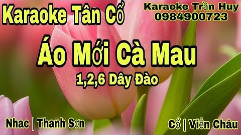 Karaoke Tân Cổ | Áo Mới Cà Mau | 1,2,6 Dây Đào | Beat Trần Huy 2020