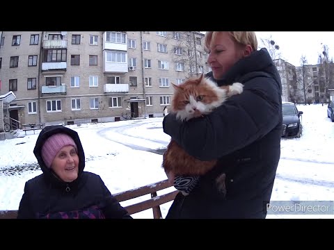 Наше знакомство с Масяней. Муся пришла в гости.Vlog.Брест