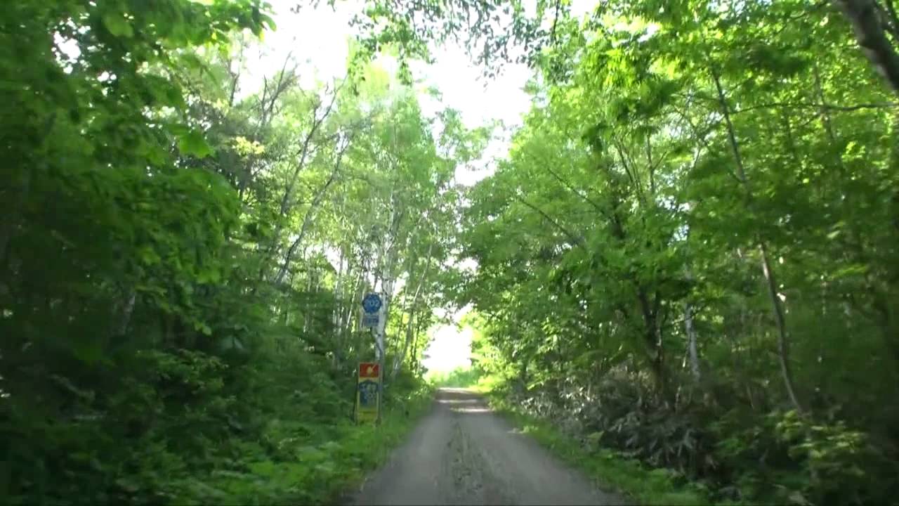【岩手県道】202号普代小屋瀬線その3
