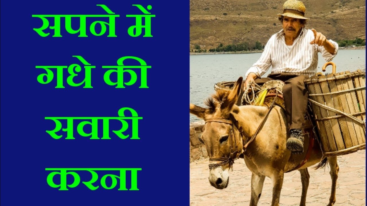 सपने में गधे की सवारी करना, donkey ride dreams, donkey dream