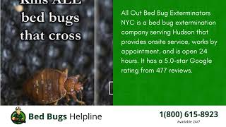 Top 3 Bed Bug Removal in Hudson