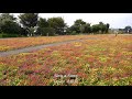 Sing a Song/松山千春/Cover北原涼