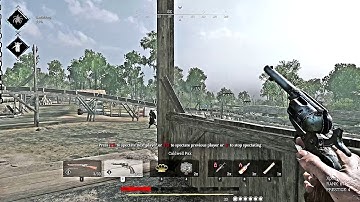 Hunt: Showdown - 2020-05-22 2 - bug/crash again