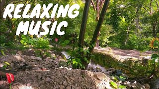 🔴 Relaxing Music, Calm Music, Sleep Music, Meditation Music, Stress Relief Music, Study, Relax