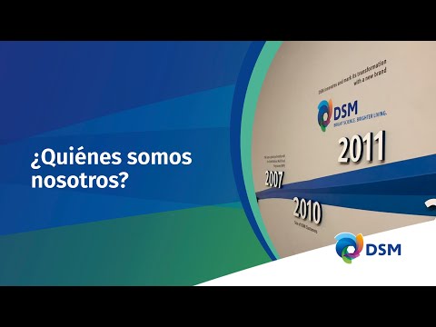 DSM en 3 minutos