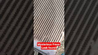 Freon leaks in car found