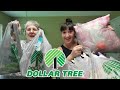 DOLLAR TREE Haul | What My Mom Has Been Buying | Gnomes?