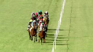 Vidéo de la course PMU PRIX DES JEUNES JOCKEYS