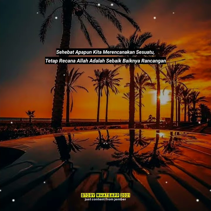 STORY WA 30 DETIK TERBARU 2021 || STORY WA KEREN KEKINIAN || DJ SHOLAWAT SA DUNA FIDDUNYA