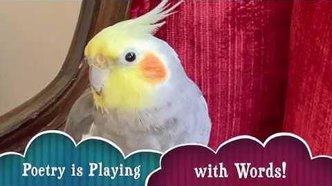 Make a Book Spine Poem!