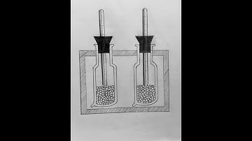 Biology practical #art #drawing #shortvideo #views_viral_video_subscribers_grow